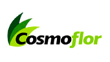 cosmo flor