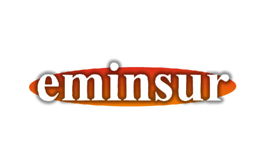 EMINSUR S.R.L. - Logo