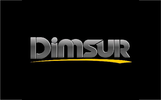 DIMSUR EQ S.R.L. - Logo