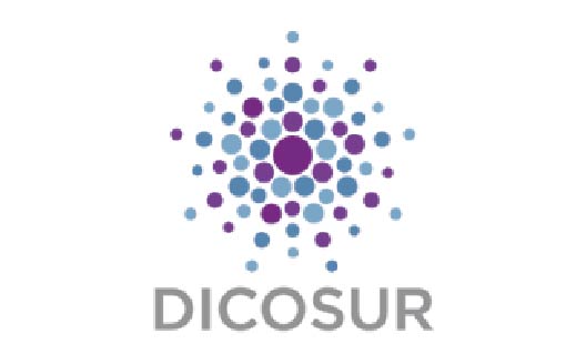 Dicosur - Logo