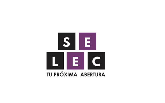 SELEC ABERTURAS - Logo