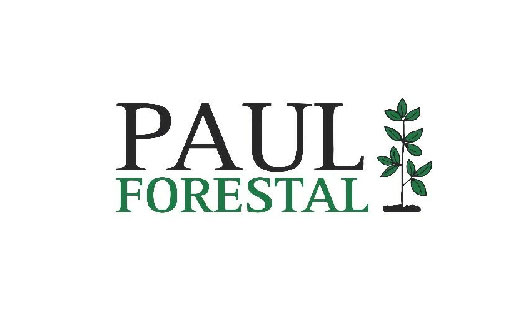 PAUL FORESTAL - Logo